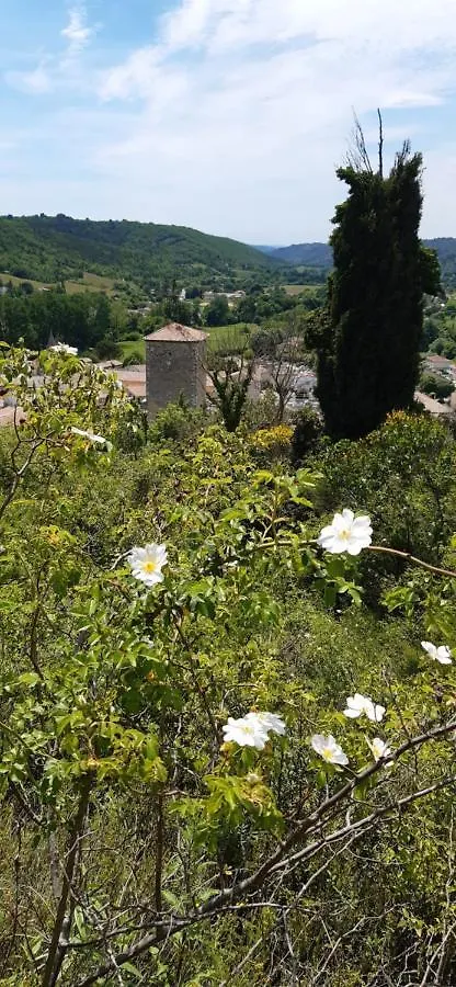Apartamento Loc Alp Verdon Riez